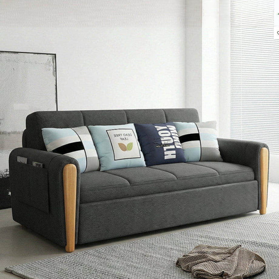 Modern Minimalist Sofa Bed With Storage